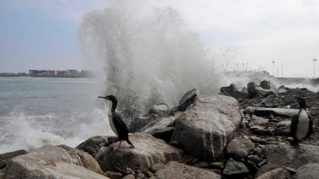 Alerta de marejadas afecta al litoral desde Arica hasta el Golfo de Penas