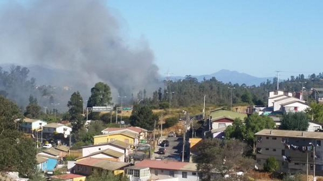 Imagen foto_00000014