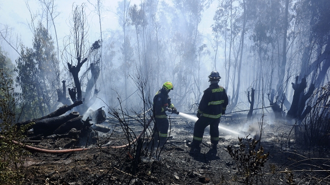 Nueva jornada de incendios en la Región de Valparaíso