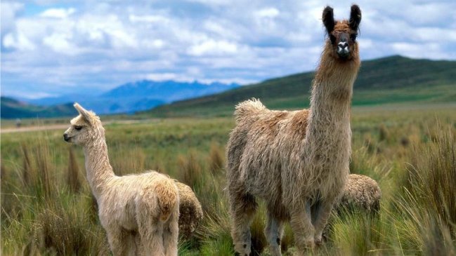 Imagen foto_00000014