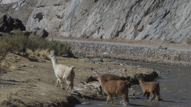 Imagen foto_00000015