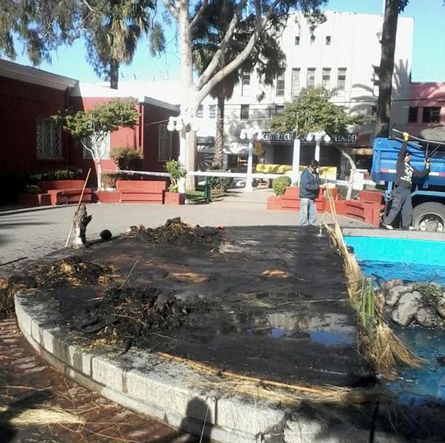 Imagen foto_00000003