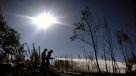 Región de O\'Higgins: Alerta roja por incendio forestal en Marchigüe