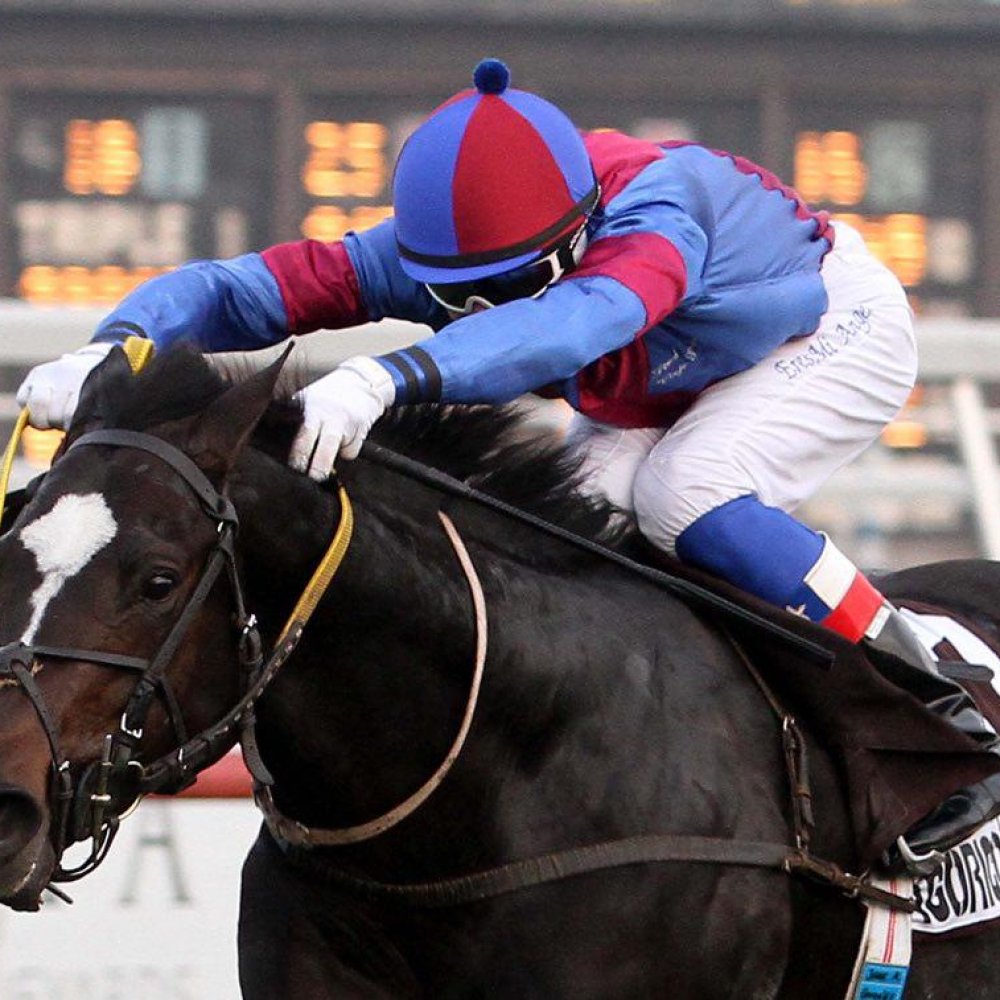 Este viernes se corre el clásico Coronación en el Club Hípico