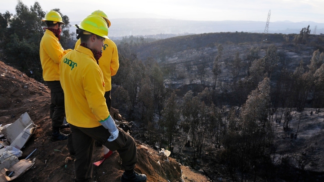 Recomendaciones de Conaf para evitar incendios forestales