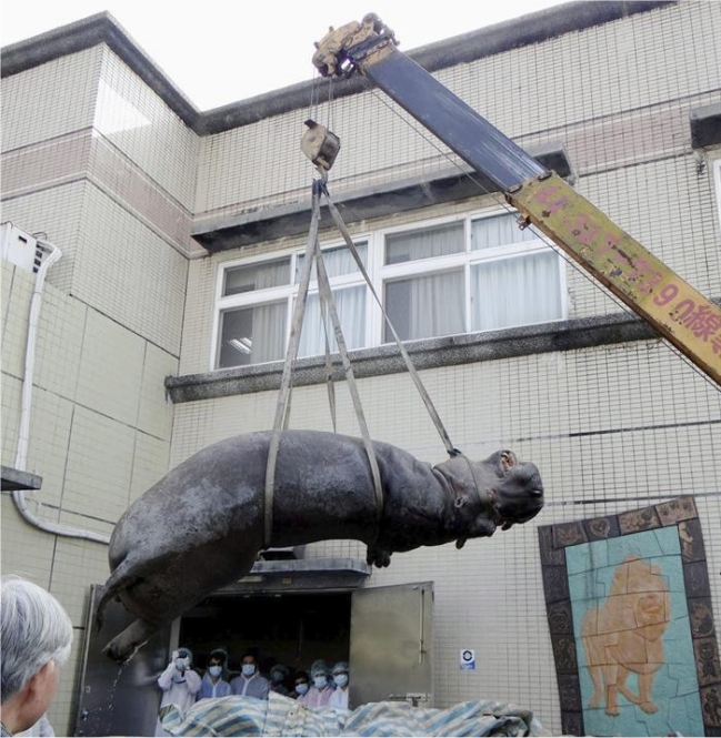 Imagen foto_00000001