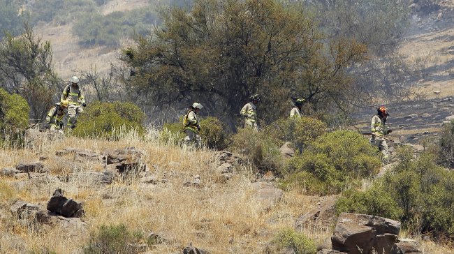 Justicia ratificó condena a Legionarios de Cristo por daño ambiental