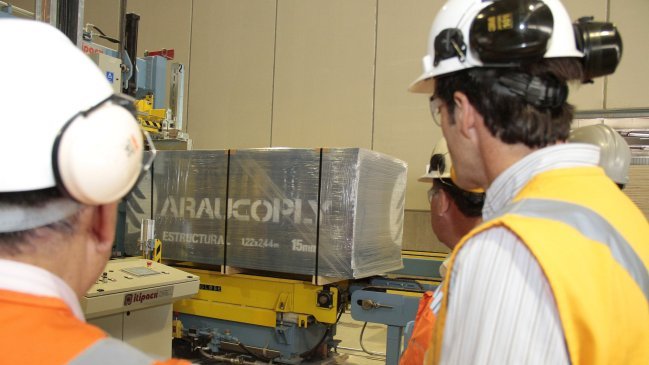 Sofofa: Producción industrial cayó 0,3 por ciento en noviembre