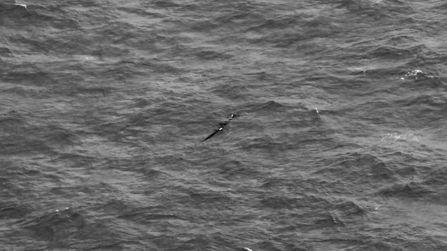 Autoridades indonesias hallaron restos del avión de AirAsia en mar de Java