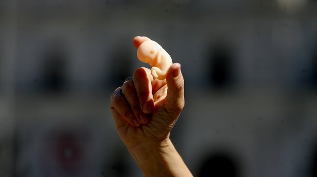 Doctora: Hay subregistros de los abortos que se realizan en Chile