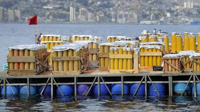 Elementos pirotécnicos cayeron al mar en Reñaca