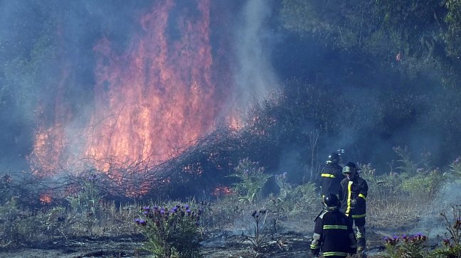 Sigue alerta roja por incendio forestal en Placilla a pesar de que ya fue controlado