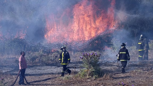 Se declaró Alerta Roja por incendio forestal en la comuna de Litueche