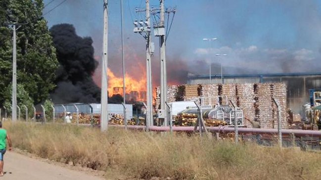 Incendio en papelera en San Francisco de Mostazal