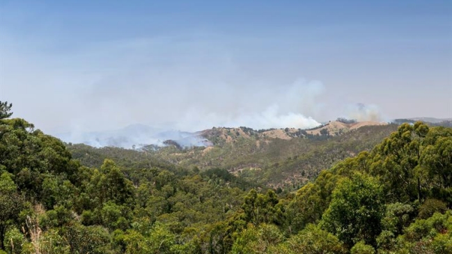 Heridos por incendios en el sur de Australia se elevaron a 138