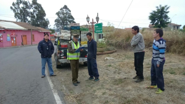 Sernapesca decomisó más de una tonelada y media de merluza común en el Maule