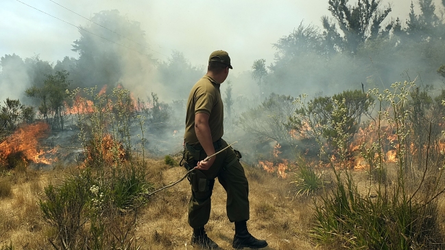 Tres focos de incendio mantienen en alerta a la Región de Valparaíso