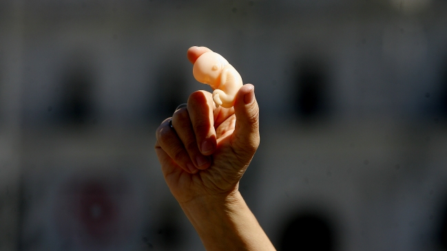 Diputado DC advirtió de diferencias internas respecto a aborto terapéutico