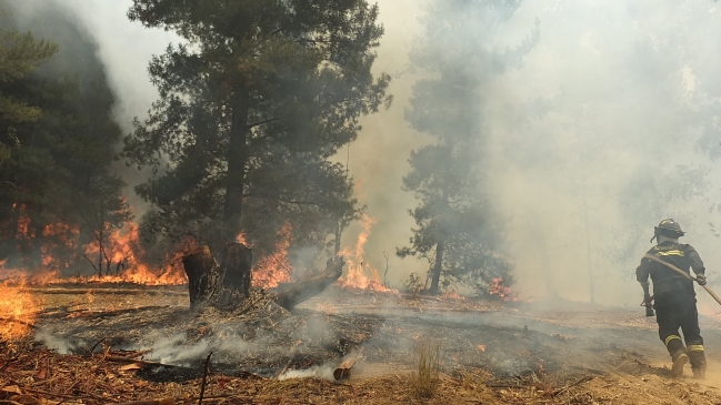 Intendente del Maule manifestó preocupación por incendios forestales en la región
