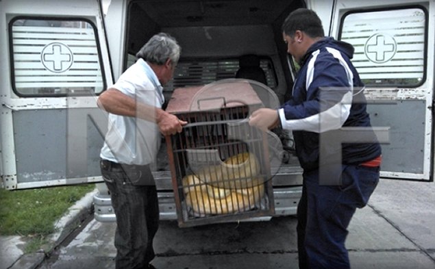 Imagen foto_00000003