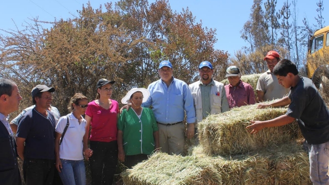 Intendencia del Maule entregó ayuda a damnificados por incendio forestal