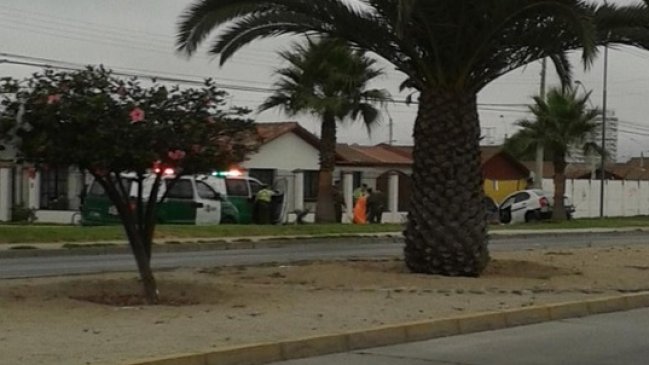 Joven de 19 años murió en Coquimbo tras estrellar su auto contra palmera