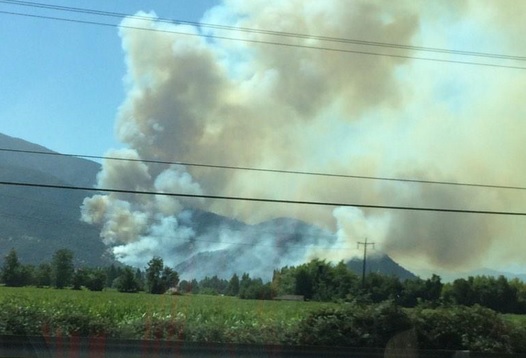 Onemi declara alerta roja para San Fernando por incendio forestal