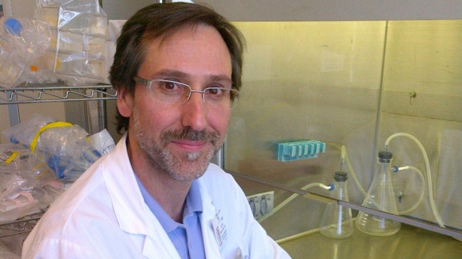 La inmunoterapia pronto será un tratamiento estándar contra el cáncer