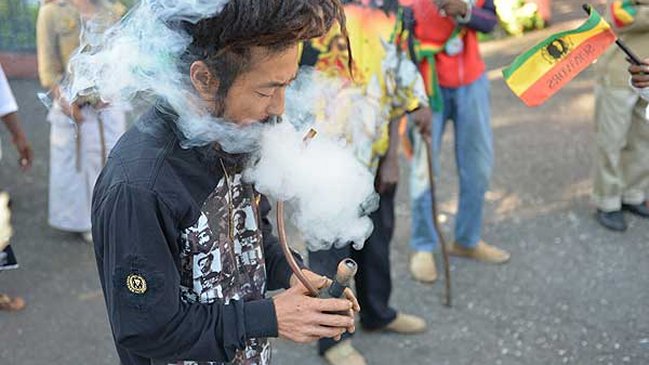  Acusan que despenalizar marihuana discriminaría a rastafaris  