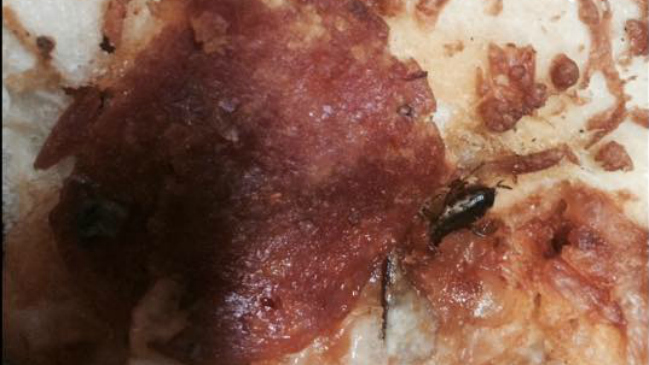 Domino's Pizza cerró sus locales en Perú luego que cliente denunciara un insecto en su comida