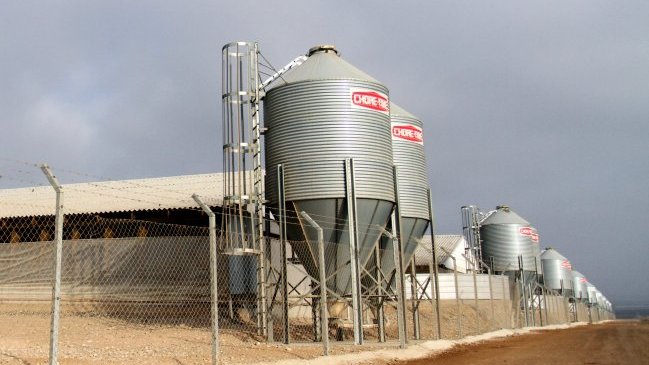 Gobierno aseguró que Agrosuper no tiene las 