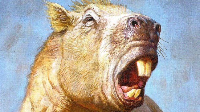 El roedor más grande de la historia tenía la mordedura de un tigre