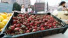 Chile se mantiene como líder en la exportación de frutas del hemisferio sur