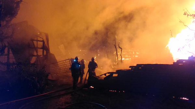 Imagen foto_00000015