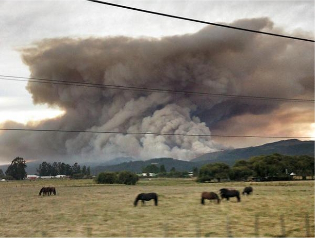 Imagen foto_00000014