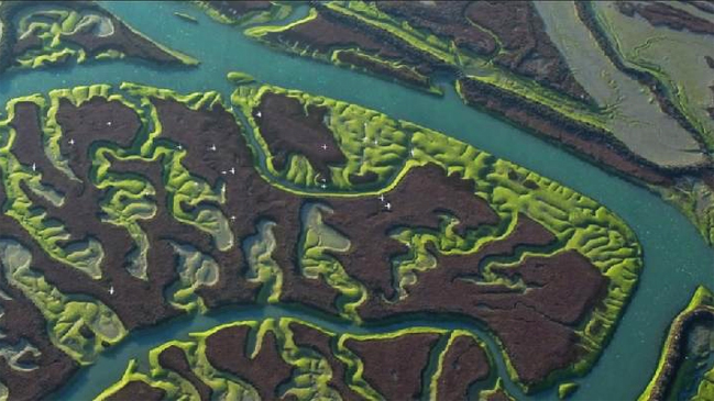 Imagen foto_00000033