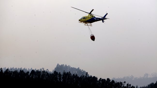 Más de 1.400 hectáreas consumidas por incendio en Arauco