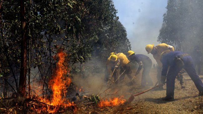 Conaf e incendio en Laraquete: No hay ningún problema para la población