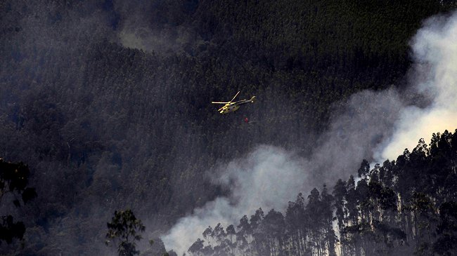 Incendios forestales han destruido más de 3.000 hectáreas en la Región del Biobío