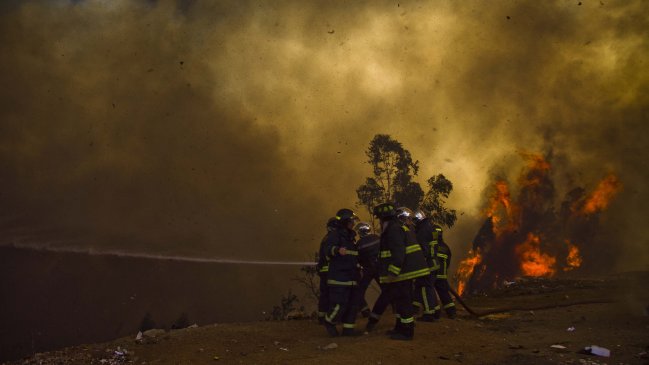 Informe de Carabineros determinó que muerte de pájaros causó incendio en Valparaíso