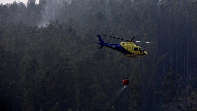 Onemi solicitará ayuda a Argentina para combatir incendios forestales