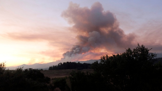 Incendios forestales: Se mantienen nueve alertas rojas en el país