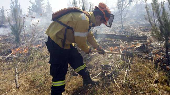 Onemi: 22 incendios forestales siguen activos en el sur del país