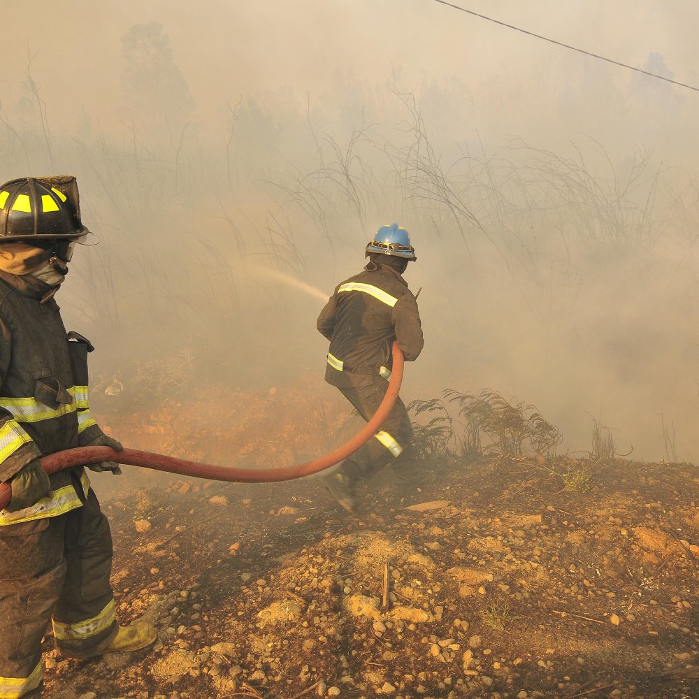 Onemi: 21 incendios forestales siguen activos en el país