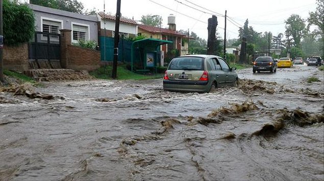 Imagen foto_00000001