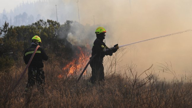Conaf: Maule y Araucanía son puntos críticos de incendios forestales