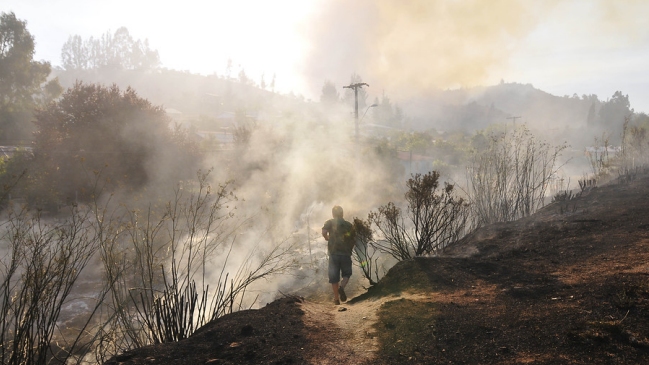 El balance de los incendios forestales