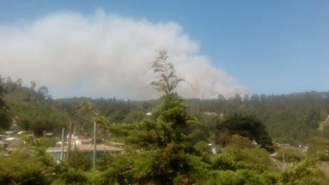 Autoridades decretaron alerta roja por incendio forestal en Pichilemu
