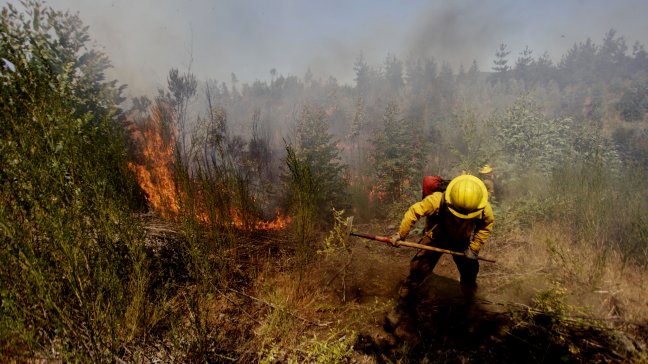 Sesenta brigadistas de Conaf viajarán a combatir incendios en Biobío y Araucanía