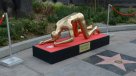 La estatuilla del Oscar que escandaliza a Hollywood